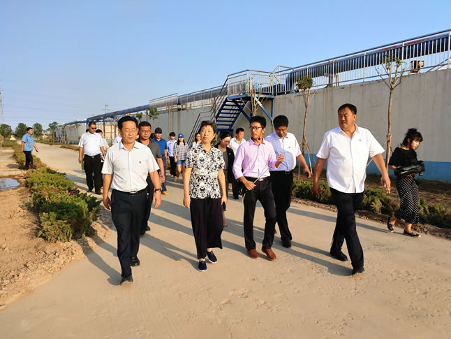 ����(chu��ng)�@��������(gu��)�Ҍ��ҏS�^(q��)����